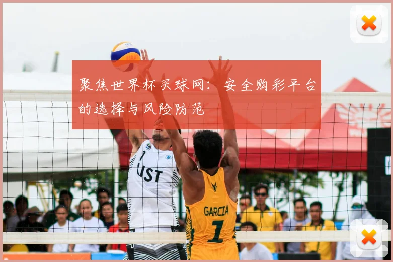 聚焦世界杯买球网：安全购彩平台的选择与风险防范